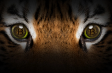 欧洲央行的法比奥帕内塔说比特币是“非常危险的动物”