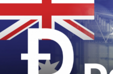 澳大利亚加密基金避免使用 DOGE 和 DeFi，2021 年的年初至今回报率为 119%